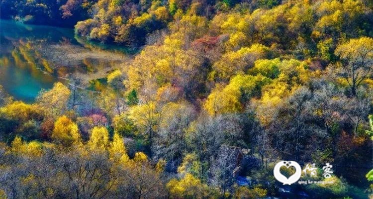 这里集雪山草甸、冰川湖泊、原始森林和珍稀野生动植物于一体，如珍珠般镶嵌在这片神奇的土地上。