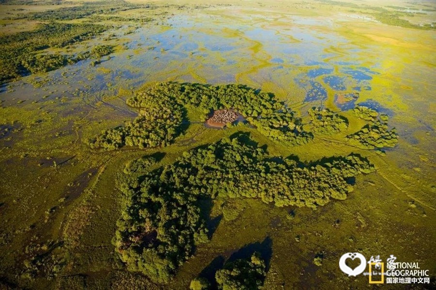 世界最大的湿地，巴西潘塔纳尔湿地。摄影／YANN ARTHUS-BERTRAND, GETTY IMAGES