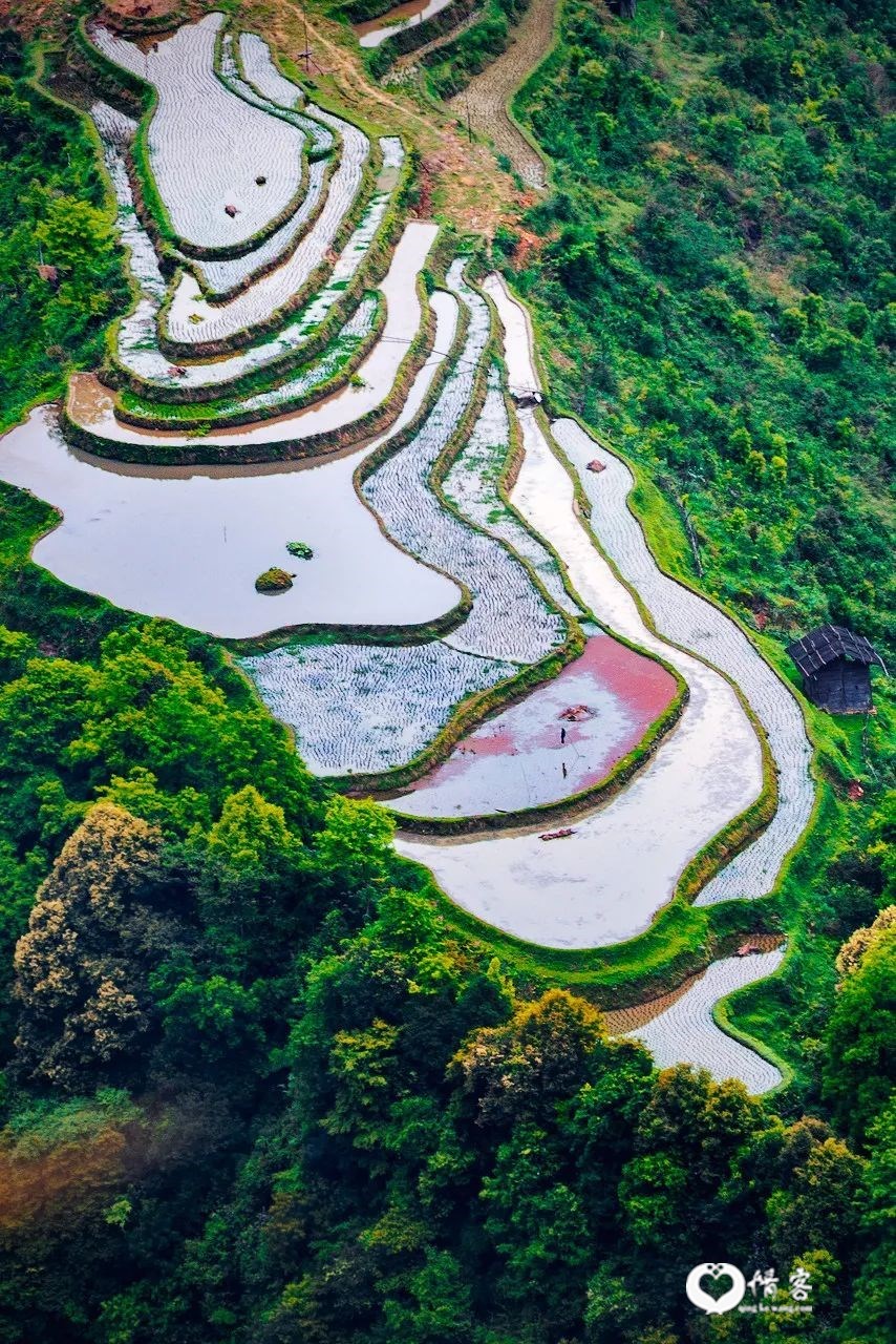 等一个人，陪我去贵州